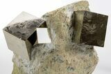 Three Shiny Natural Pyrite Cubes in Rock - Navajun, Spain #325109-1